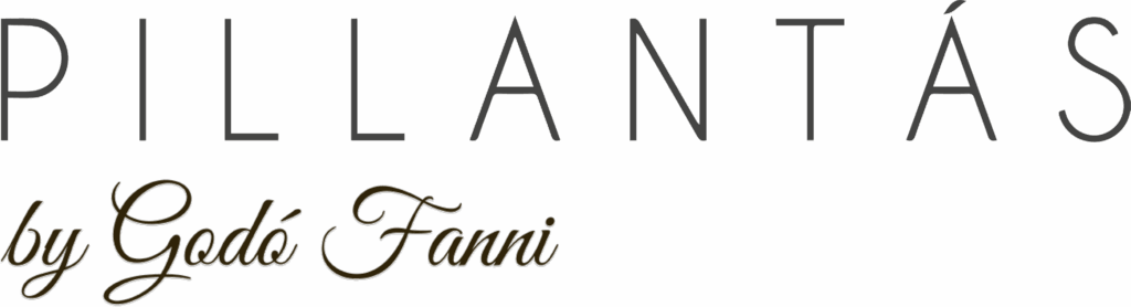 pillantas studio logo