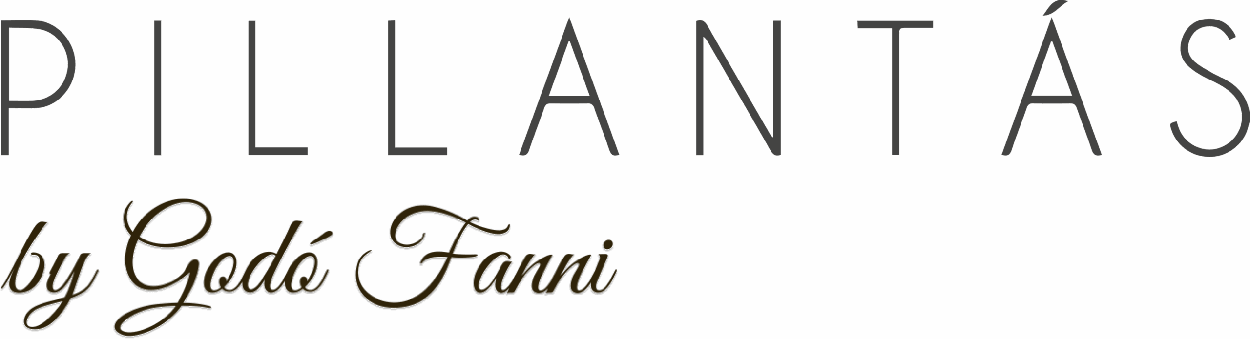 pillantas studio logo